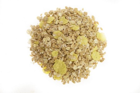 1_ΜΟΥΣΛΙ ΔΗΜΗΤΡΙΑΚΩΝ2_648435283